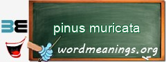 WordMeaning blackboard for pinus muricata